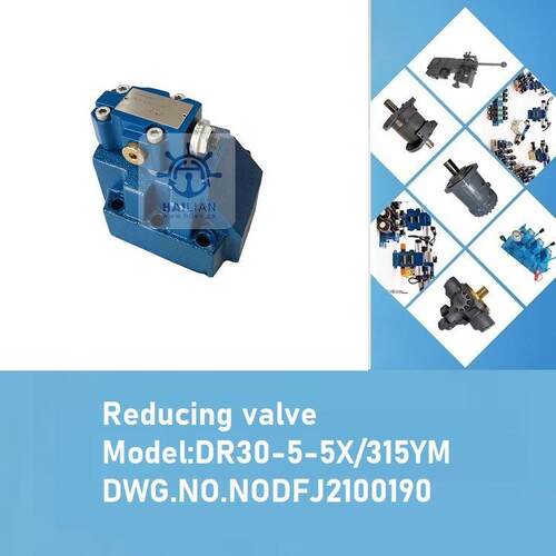 舱盖减压阀DR30-5-5X-315YM reducing valve for deck crane