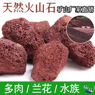 多肉铺面红色火山石水族鱼缸造景红色火山石 烧烤炉用火山石颗粒