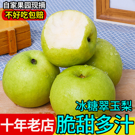 冰糖翠玉梨5斤当季新鲜水果，脆甜梨子苹果梨青皮翠冠梨整箱10