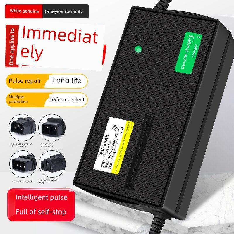 适用于利马电动汽车电池车载充电器48V12Ah60V20Ah72V30A正品新国