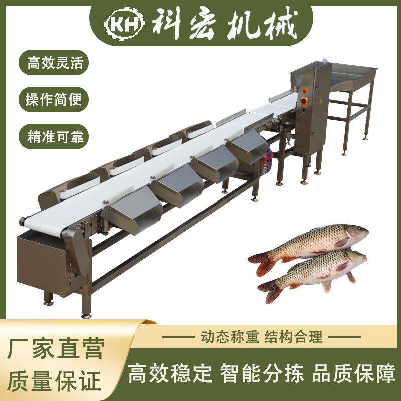 鲅鱼黄花鱼级重量分选机鸡鸭酮体重量分选机海鲜类称重分拣机