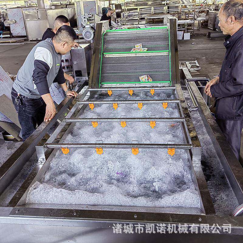果蔬高压气泡清洗设备西蓝花杨梅鼓泡清洗机西梅果蔬清洗机