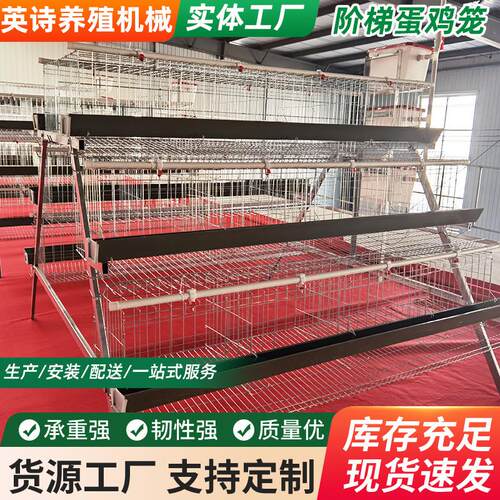 厂家供应三层五门白槽绿槽蛋鸡笼设备热镀锌阶梯式立体笼养鸡设备