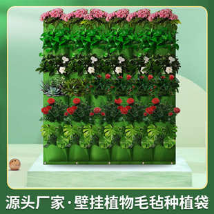 毛毡种植袋加厚壁挂垂直立体无纺布植物阳台种菜神器厂家批发 挂式