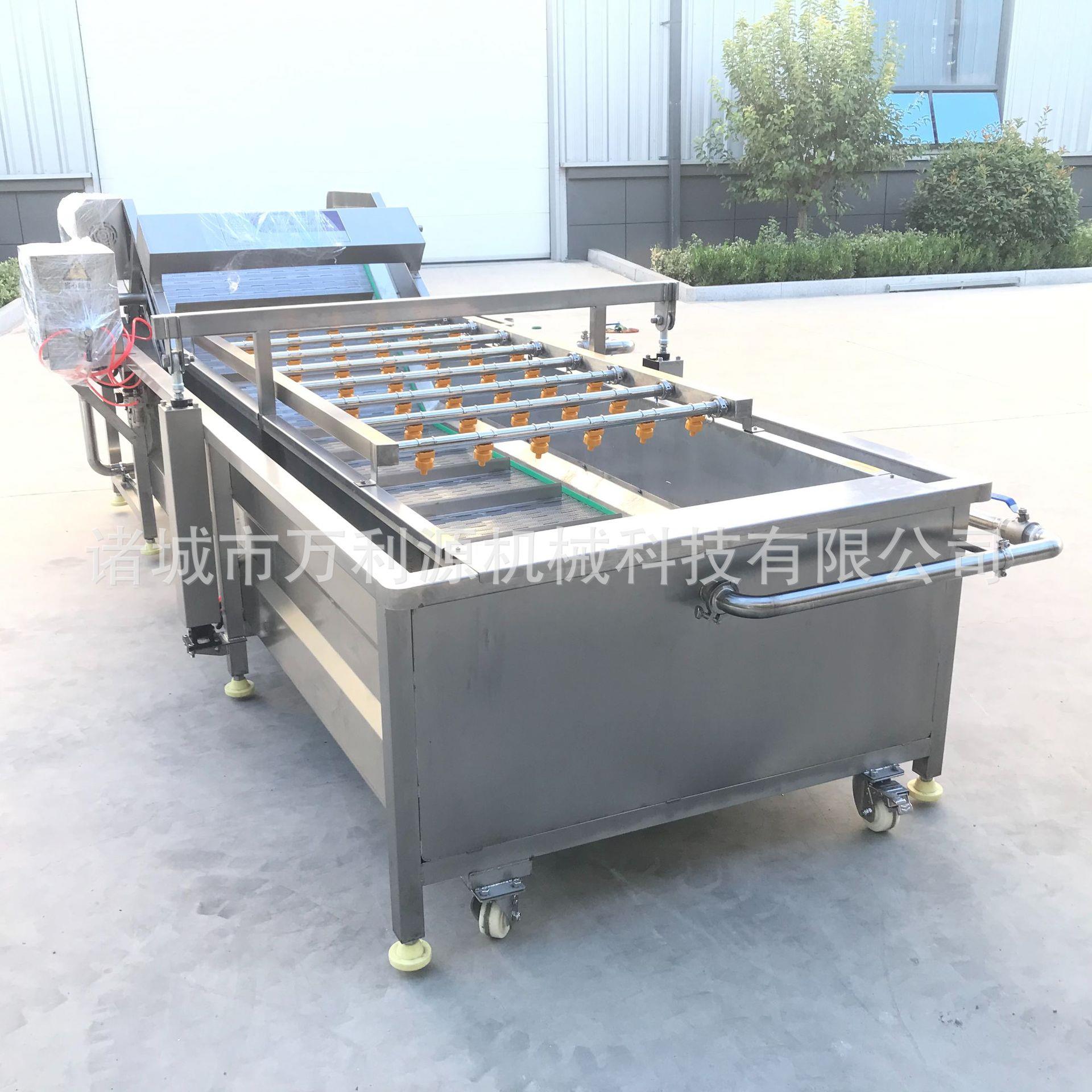 万利源 高压喷淋茶叶清洗设备 香草气泡清洗机器 连续式净菜加工