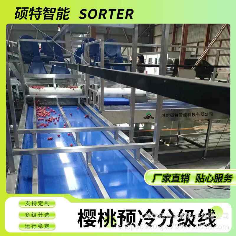 商用樱桃分拣机水果大小分级机车厘子选果机樱桃清洗机风干机价格