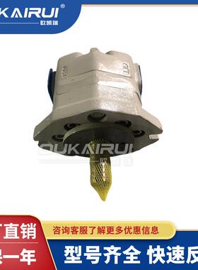 日本Toyooki丰兴齿轮油泵TCP5-L100-MRI-A；TCP5-L80-MR1-A内接式