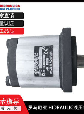 罗马尼亚液压泵HIDRAULICA齿轮泵 PRD/PRD1/PRD2/PRD3/PRD4油泵