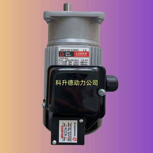 LUSON电机 LY马达 J220V16-200-15-C(Y) J220-200-C-4