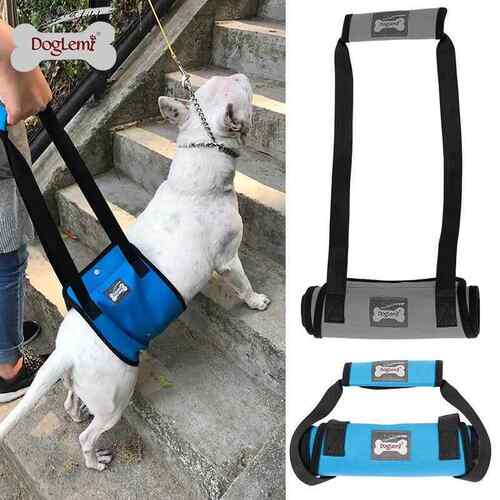 宠物老年犬后腿损伤保护犬行走带轿厢上楼梯犬腿行走辅助吊带