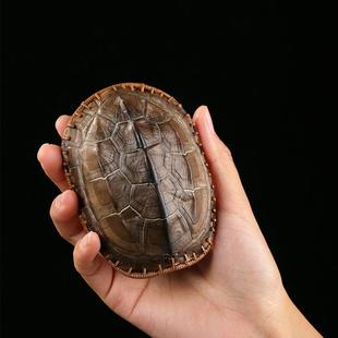 大漆乌龟壳龟壳竹编茶则龟甲竹包铜茶则赏茶宠文玩竹茶宠茶道配件