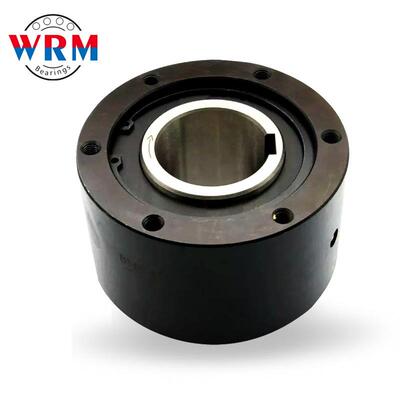 WRM单向传动离合器BS30 BS50 BS65 BS75 BS85 BS95 BS110 BS135