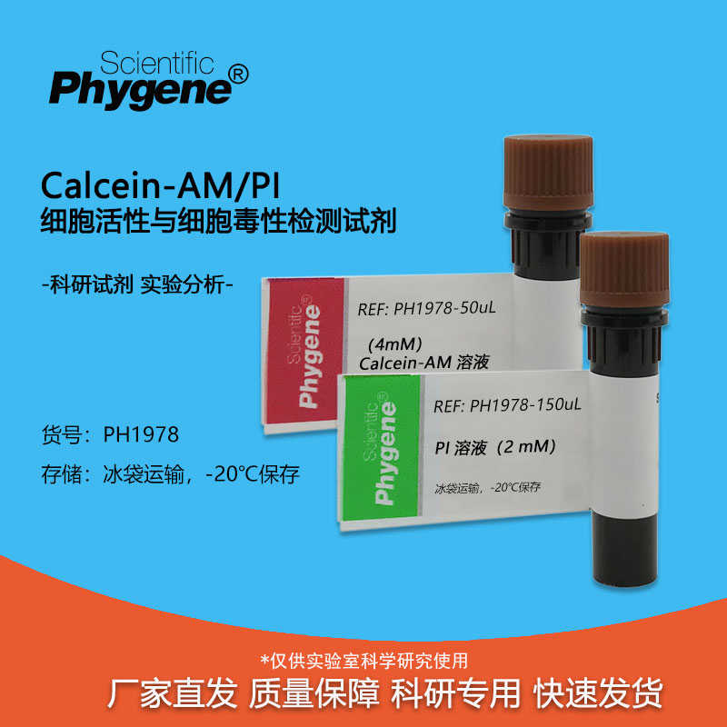 Calcein-AM/PI细胞活性与毒性检测试剂盒 500T [PH1978 PHYGENE]