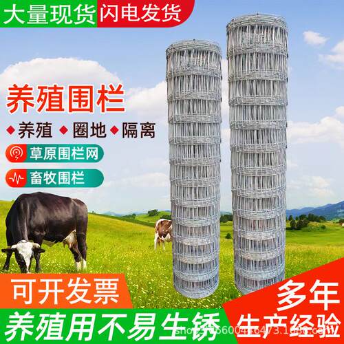 热镀锌防锈铁丝网养殖围栏圈牛羊钢丝果园户外隔离防护网勾花网
