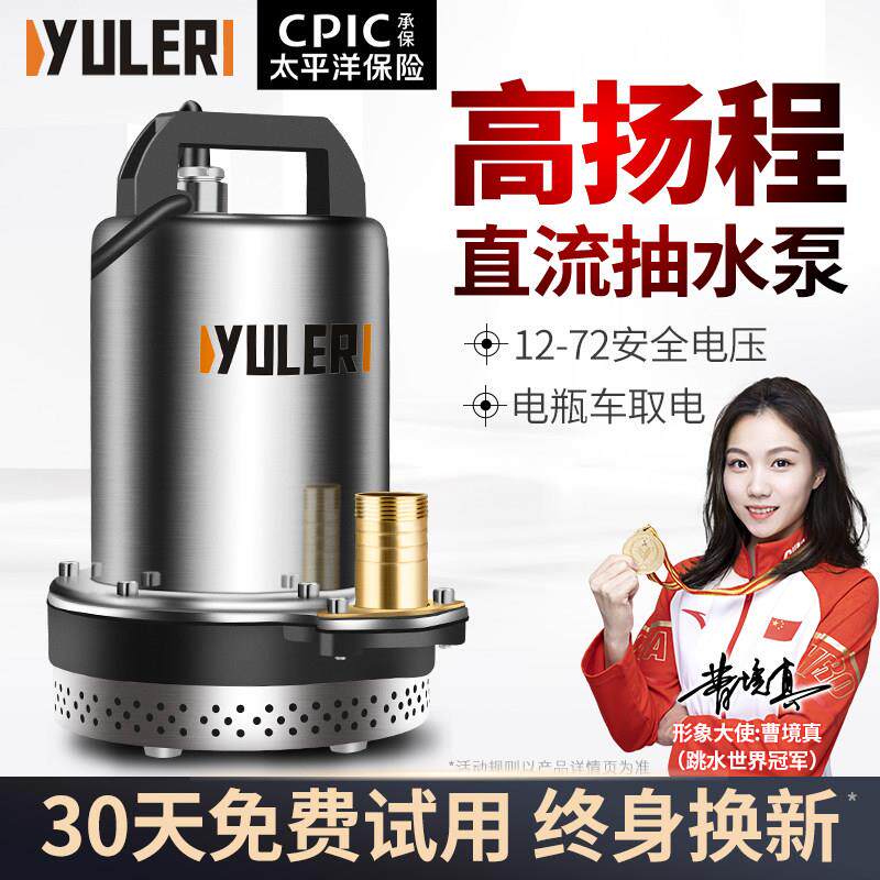 渝乐12V24V直流潜水泵48V60V农用电动车电瓶小型灌溉抽水泵机家用