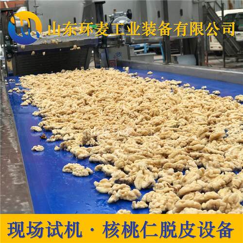 物理核桃仁去皮机视频环麦提供核桃仁去皮机试机去皮机样机齐全