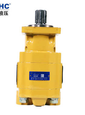 HCHC长源液压齿轮油泵 CBGTC 铸铁齿轮泵 合肥长源液压齿轮油泵