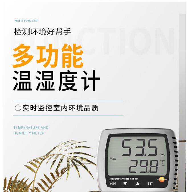 德图温湿度计工业高精度防水台挂两用数显温湿度仪露点表