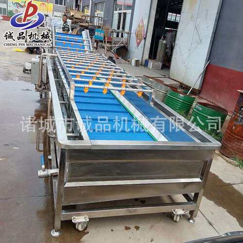 樱桃葡萄气泡清洗机全自动土豆洋姜毛辊清洗设备多功能果蔬清洗机