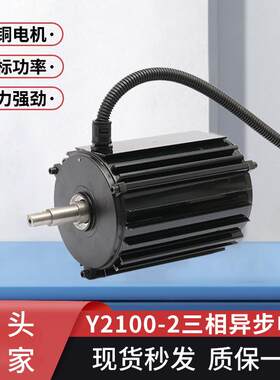 交流电机耐高温电机Y2100-2220v非标全铜线电机三相异步电动机批