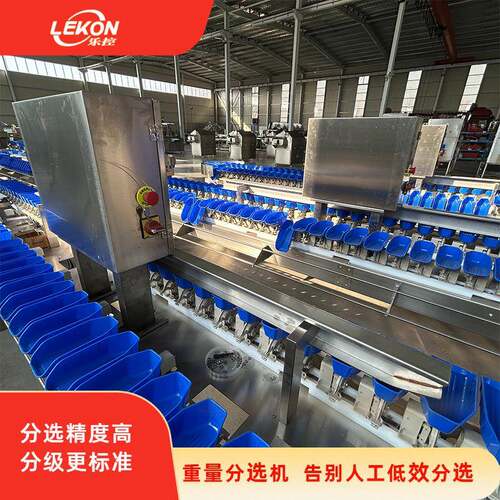 蔬菜重量分选机胡萝卜土豆洋葱分级料盒设计防损伤食品加工设备