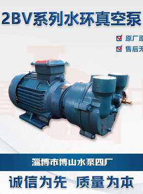 2BV2070型水环式真空泵铸铁材质真空泵博山真空泵厂家牌