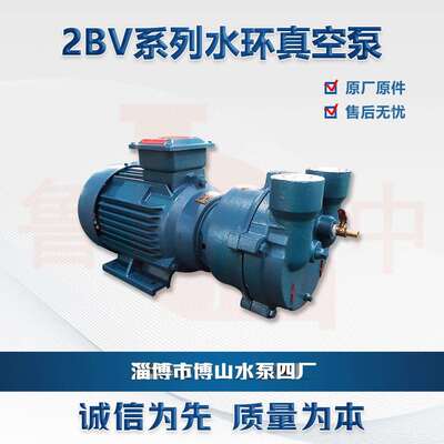 2BV6111型水环真空泵博山生产厂家真空泵配件工业液环泵气体输送