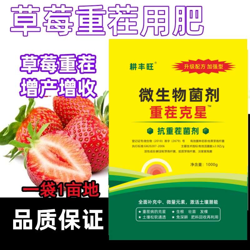 草莓重茬肥重茬克星草莓根腐病专用抗盐碱免深耕土壤疏松剂重茬剂