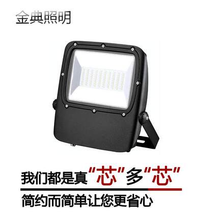 JD-F017100W投光灯泛光灯集成SMD庭院灯