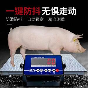 初力地磅秤电子称有线小地磅带围栏秤猪牛羊加固加厚物流工厂专用