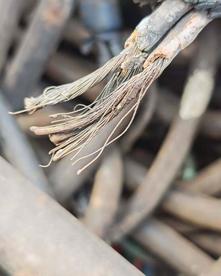 4月28日台州处理废旧电线2.4吨左右网络拍卖公告