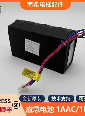 适用东芝电梯应急电池组WS20-1AAC/2-ZUPS无机房电源LC-R064R2