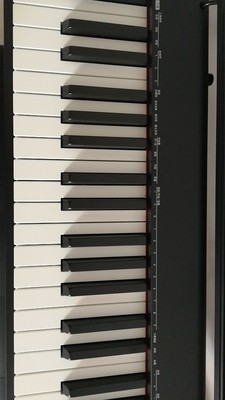 卡西欧电钢琴怎么样?我已上手讲一讲良心感受