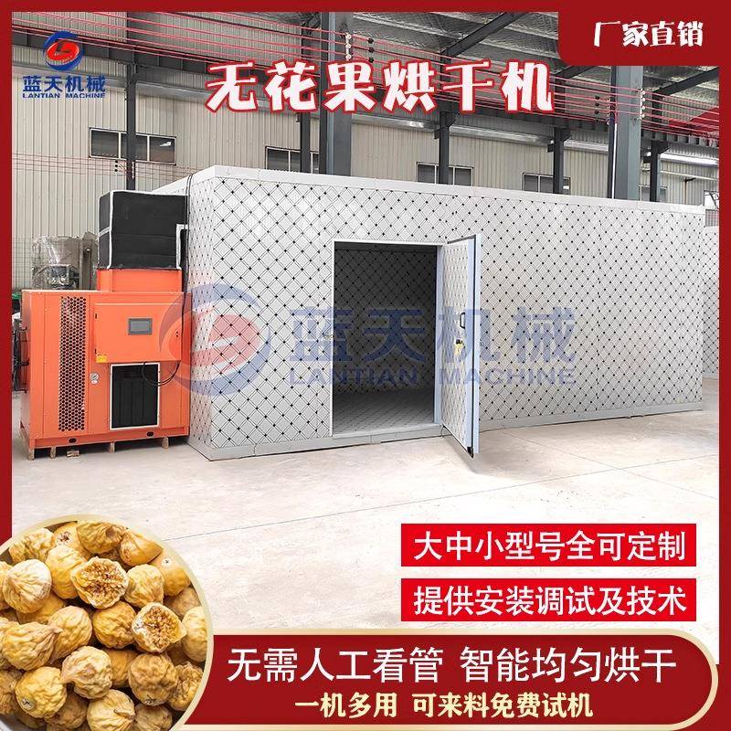 大型无花果干烘干房红心无花果脯脱水烧颗粒烘干机无花果烘干机
