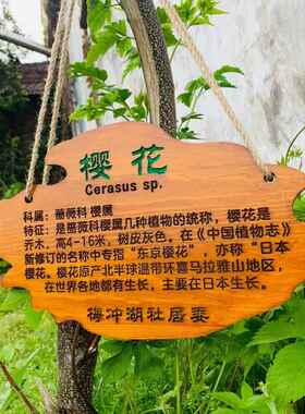 定制实木标识牌挂牌户外幼儿园介绍牌认养简介植物悬挂式树牌木质