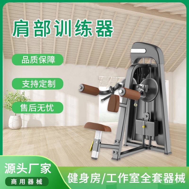 广州健身房专业健身器材肩部推举训练机坐姿铁片商用肩部训练器
