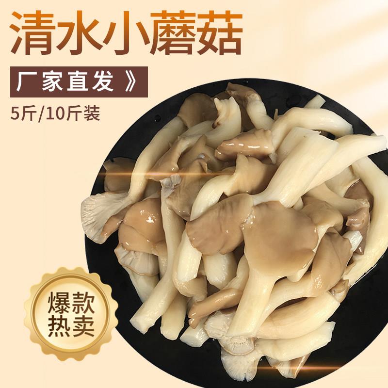 新鲜清水小蘑菇灰姬菇食用野生菌种真空10斤装商用凉菜卤菜原材料