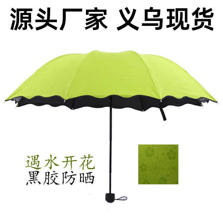荷叶边遇水开花晴雨伞厂家黑胶强防紫外线遮阳伞太阳伞创意三折伞