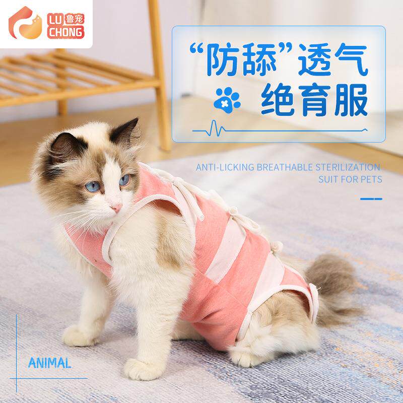 猫咪绝育服防脱防抓防掉毛术后断奶服绑带可调节猫衣服宠物绝育服