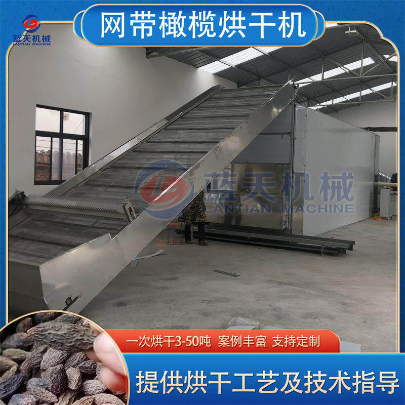 网带橄榄烘干机全自动青果甘榄余甘子烘干设备大型橄榄子干燥机