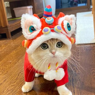 宠物猫咪新年装扮醒狮帽子冬季保暖过年虎头舞狮变装头套头饰狗狗