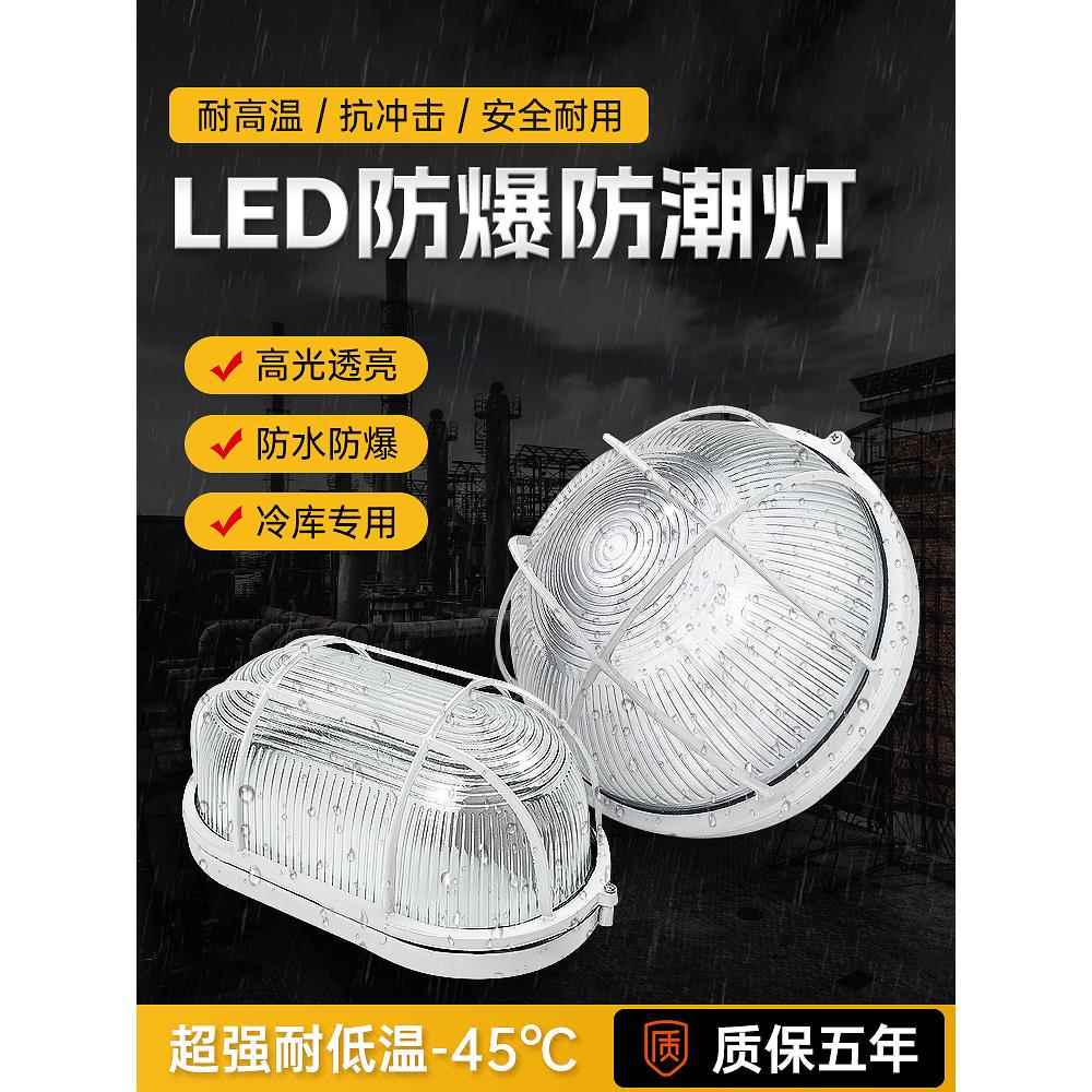 Led冷库专用灯三防灯防潮灯防爆20W浴室卫生间防水冰柜冰库灯