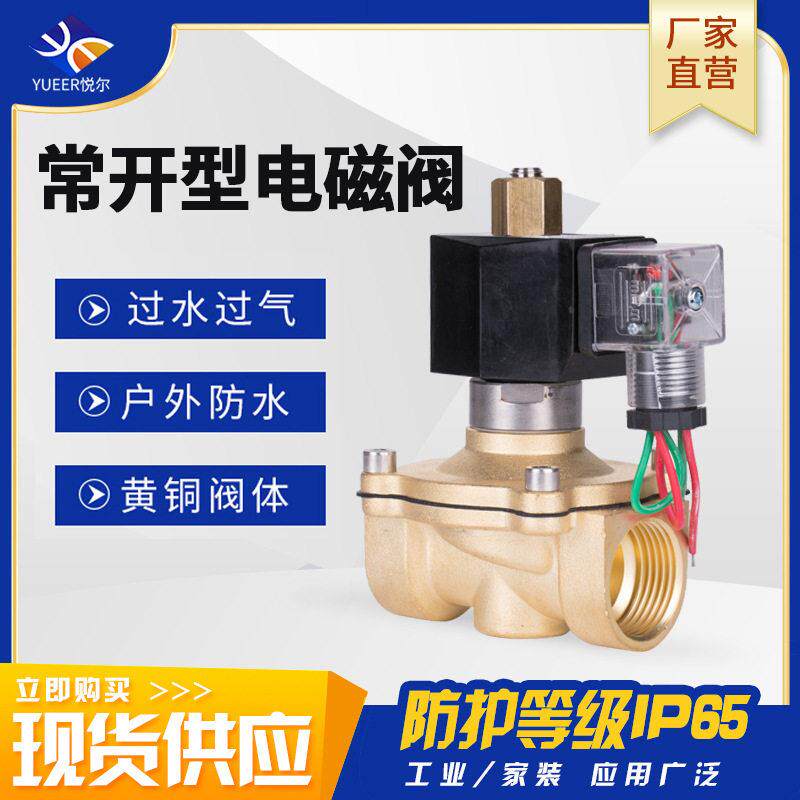 220V24户外防水防潮管道控制开关阀电子阀水阀气阀黄铜常开电磁阀