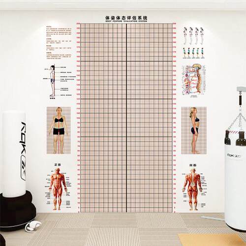 体态评估表墙贴健身房体测网格纸瑜伽馆私教姿势体位背景墙体链衡