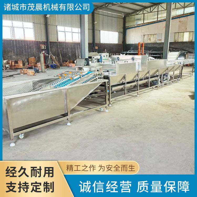 养殖场鸡蛋清洗机多功能多排鸡蛋鸭蛋清洗机洗蛋机家禽蛋清洗机