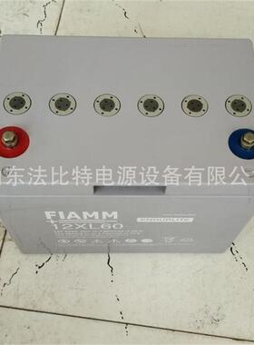 非凡铅酸蓄电池12XL60免维护蓄电池12V60Ah轨道交通12XL60