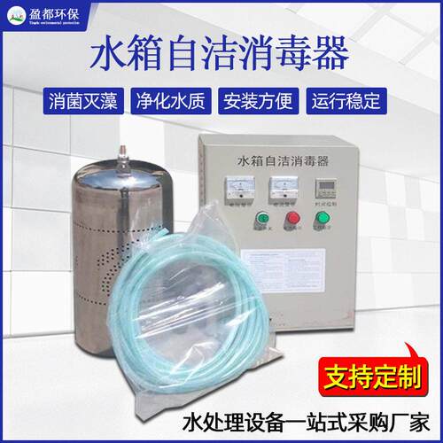 水池水塔微电解消毒机臭氧发生器外置内置式WTS-2A水箱自洁消毒器