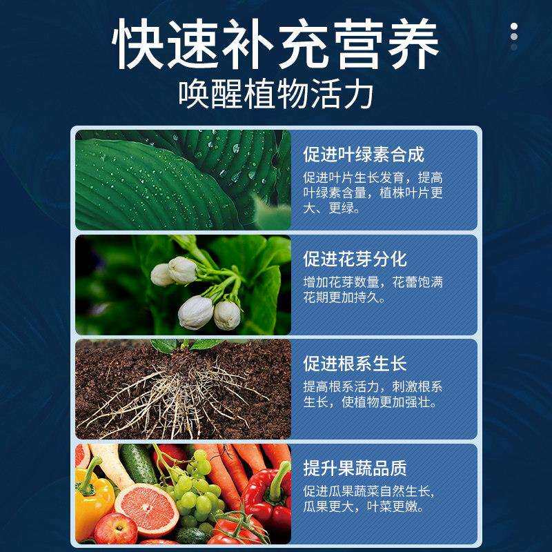 开花多多2号开花10-30-20绿植种植用料花卉多肉水溶
