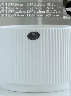 花盆陶瓷新款亚光北欧白色花盆特大号带托盘桌面绿植多肉盆栽