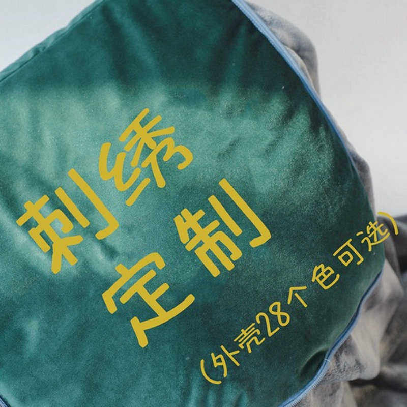 枕毯枕汽车抱被子靠垫绒毛被刺绣抱空调靠垫被定制办公室毛绒加厚,居家布艺,靠垫/抱枕,淘宝优惠券,粉丝福利购,淘宝优惠卷